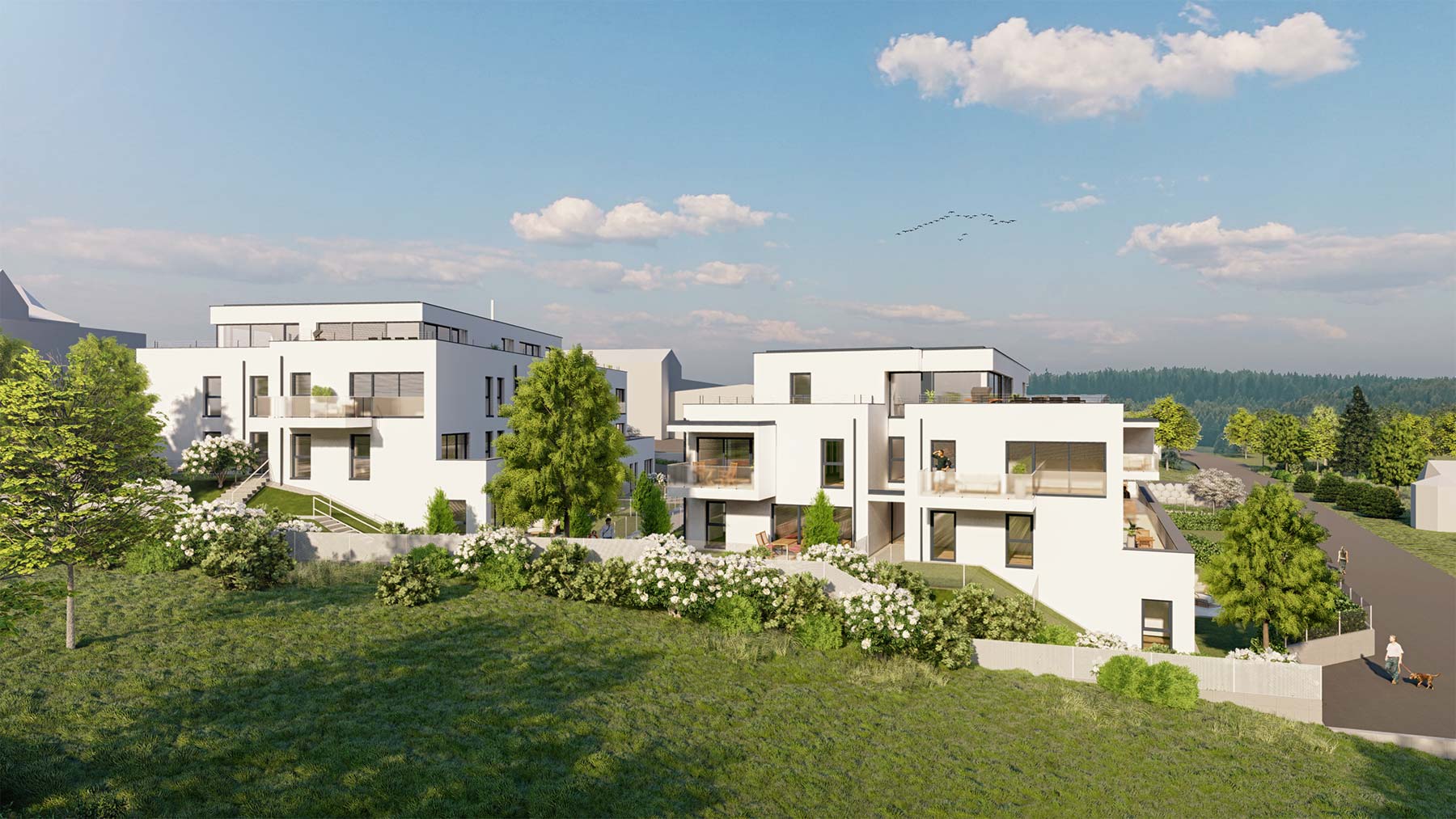 20200615 Amstetten Haslehner Ansicht5 Bearbeitet