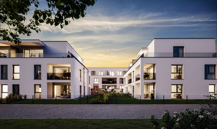 Silberweiß 25, Amstetten